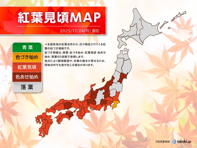 24日は九州から関東で紅葉狩り日和 12月上旬・中旬まで見頃が続く所も