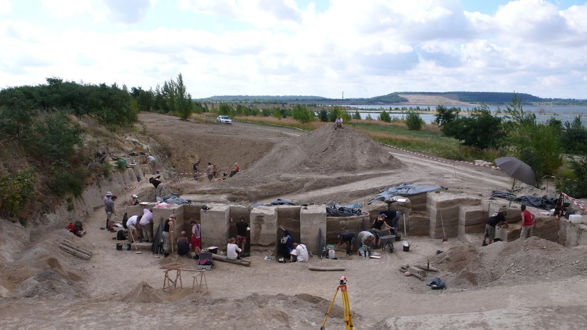 ドイツに１２万５０００年前の「脂肪工場」、ネアンデルタール人による抽出作業の痕跡と研究者