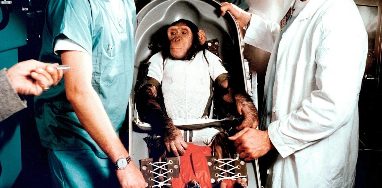 犬やチンパンジーだけじゃない。宇宙に行った（人間以外の）生き物たち