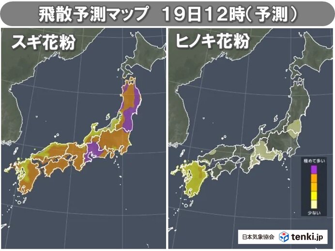 今日19日の日中は雨上がりで花粉の飛散増 対策を 3月下旬からヒノキ花粉ピークへ