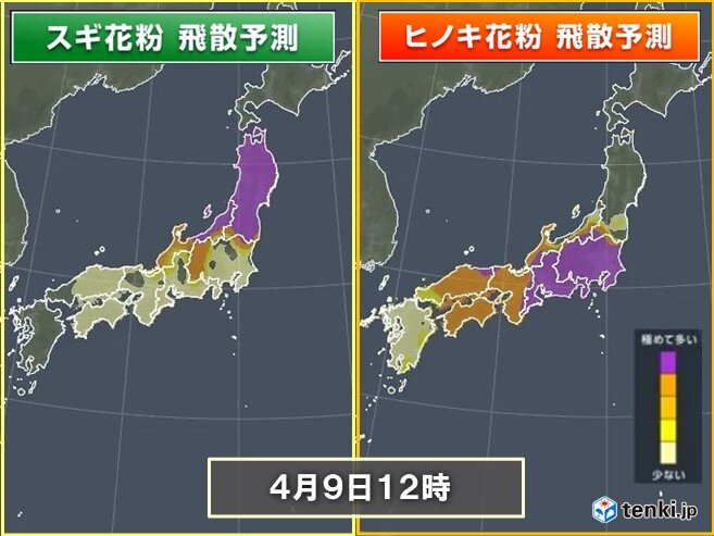 明日9日(木)は花粉が広範囲で大量飛散 11日(土)頃は黄砂が飛来する可能性も