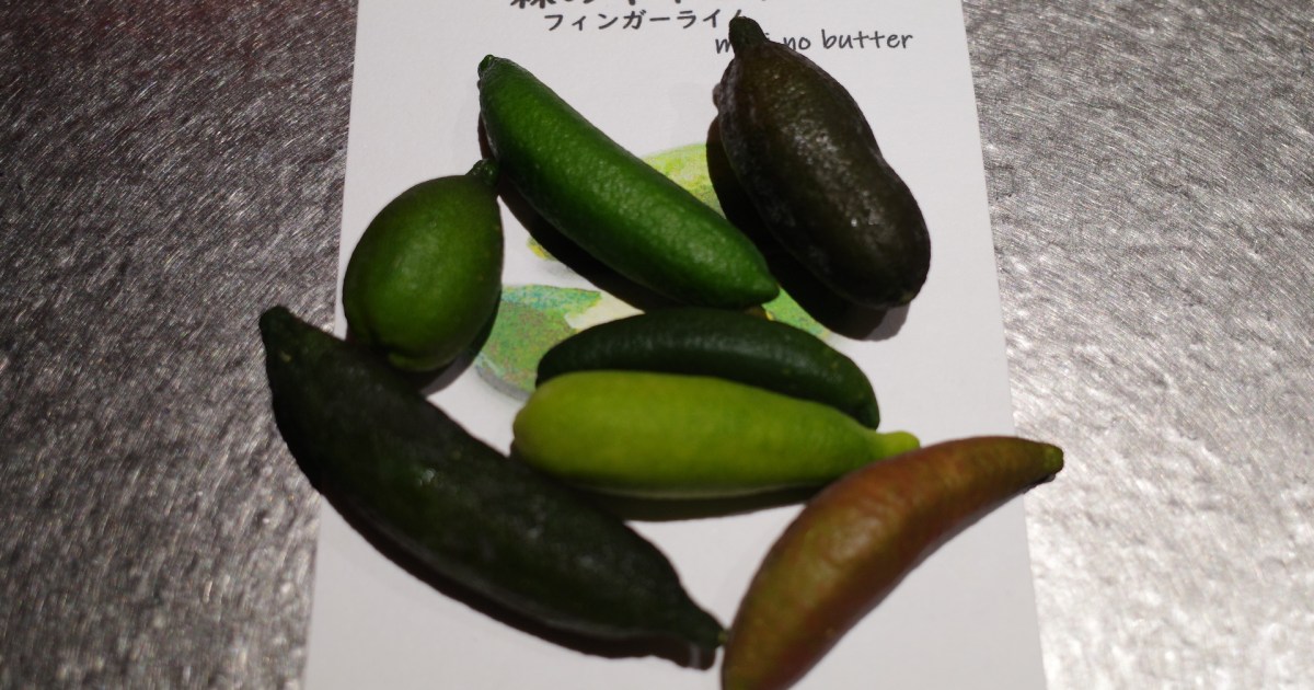 森のキャビアの異名を持つ『フィンガーライム』を買ってみた！ なんだこの不思議植物は…