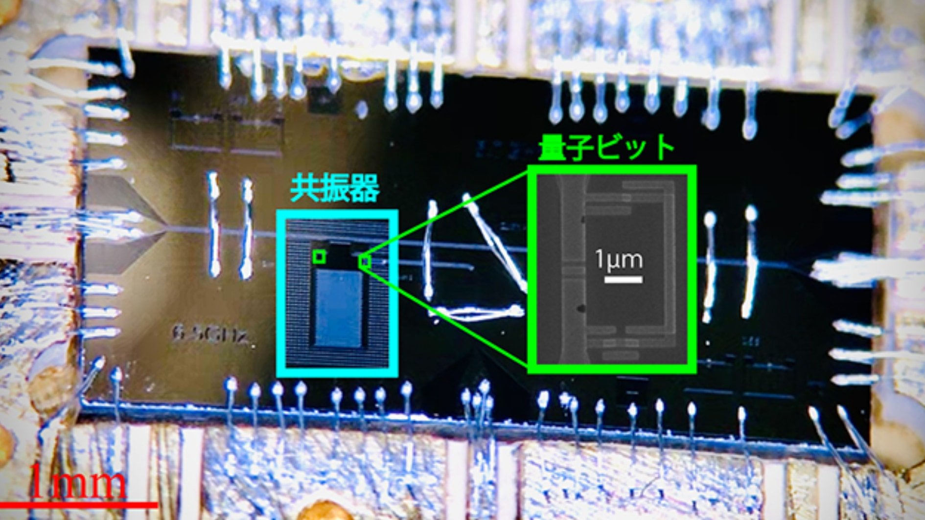 【理研＆理科大】1光子で2原子を同時興奮させる現象を観測成功 (2/3)