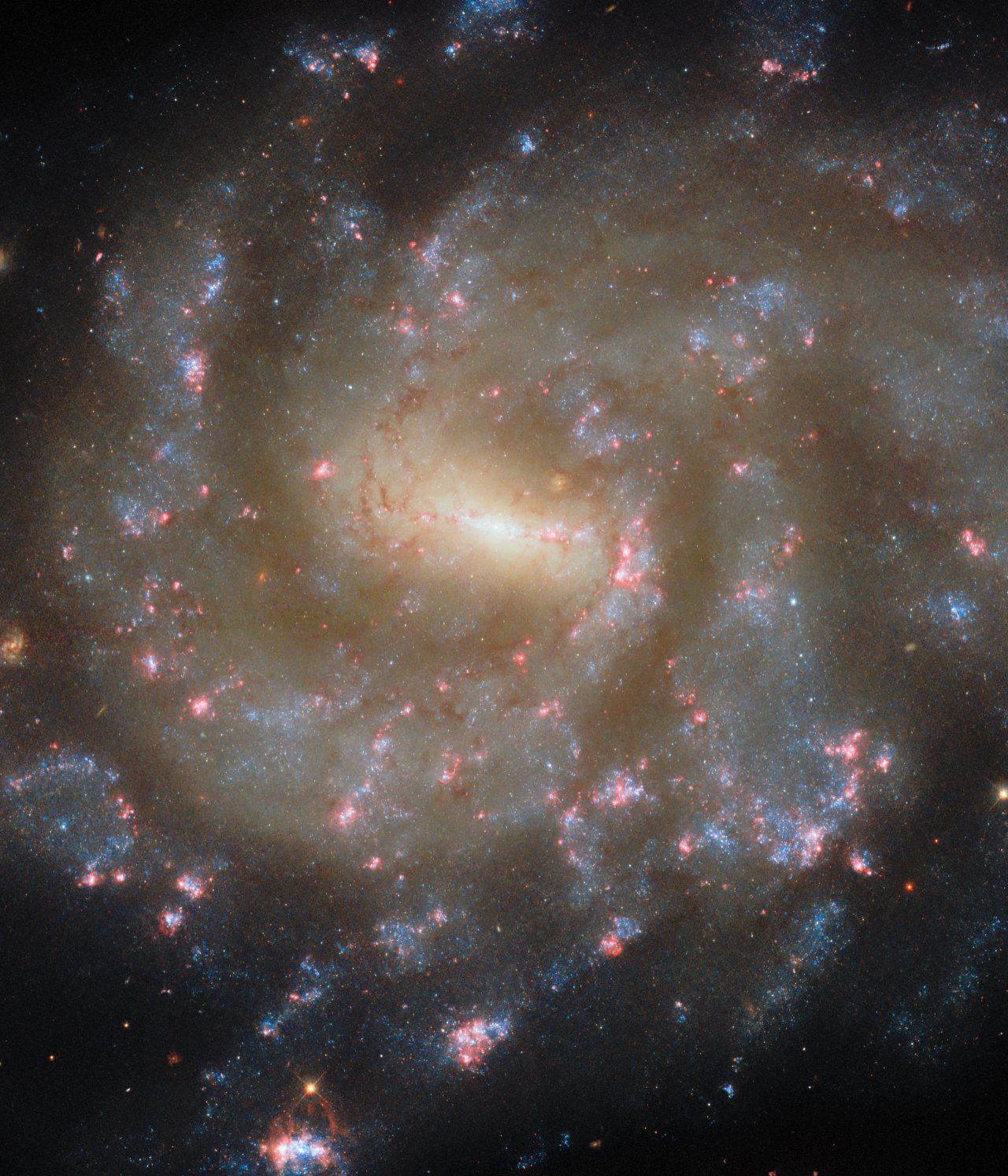 星形成が進むエリダヌス座の棒渦巻銀河「NGC 685」 ハッブル宇宙望遠鏡が観測【今日の宇宙画像】
