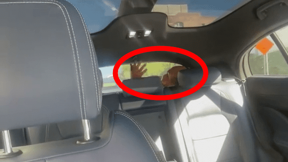 自動運転車Waymoのトランクに見知らぬ人が乗っているのを発見