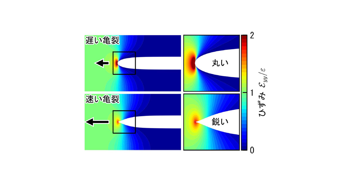 共同発表：ゴムの鋭い亀裂は粘弾性から生じる～ノーベル賞受賞者30年来の理論を証明～