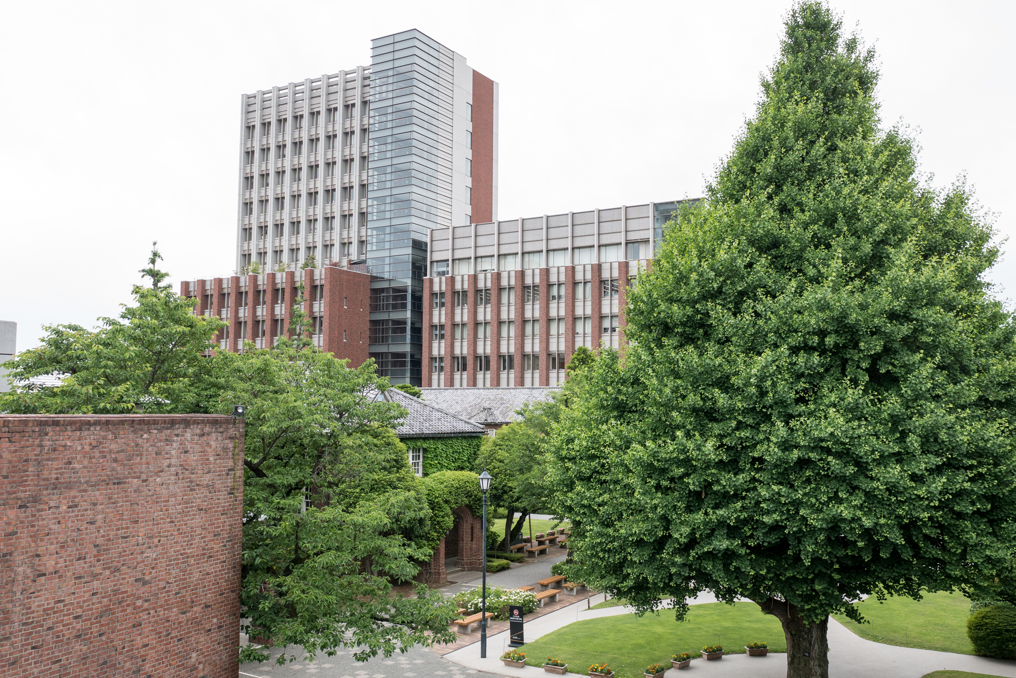 「本当に綺麗でときめきます」 “オシャレさんが多そうな東京の私立大学”って？ ランキング上位に「雰囲気は非常にオープン」「楽しいイベントがたくさん」の声