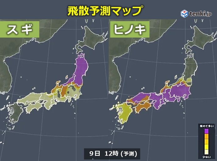 花粉情報 今日9日 本州の広範囲で「極めて多い」 ピーク終了後もしばらく注意