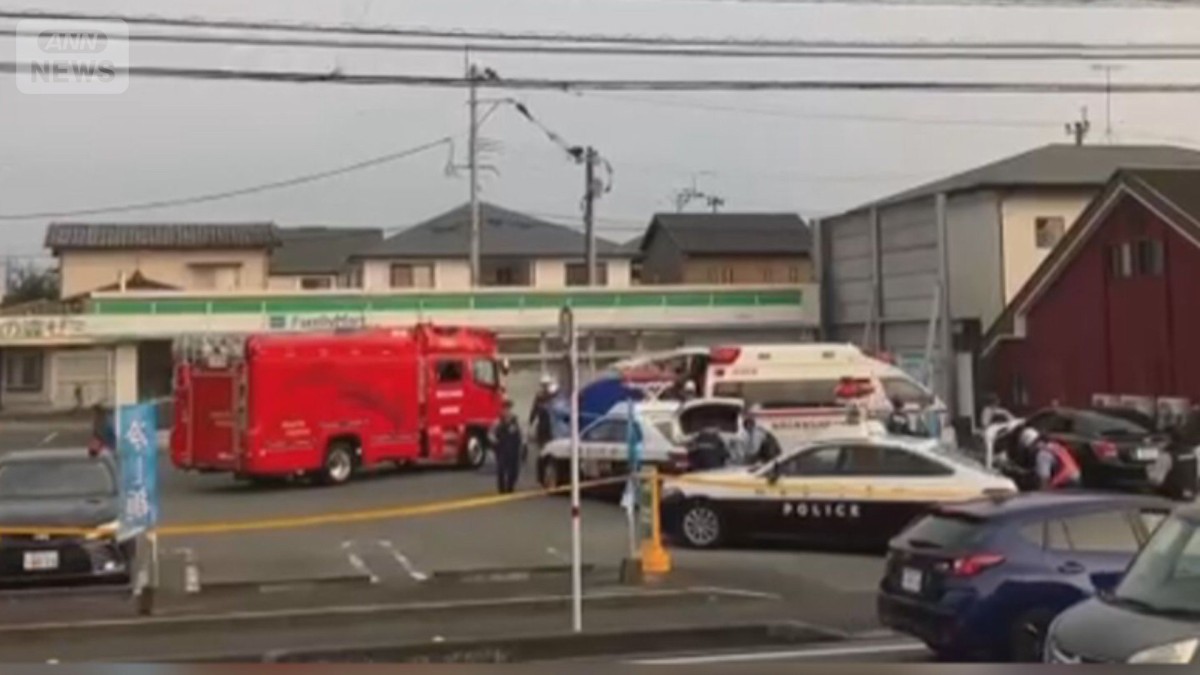 刃物男に警察官が“発砲”…カメラが捉えた“一部始終” 拳銃使用のルールと判断