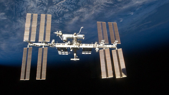 コケは宇宙の真空中で9カ月間も生存できることが判明