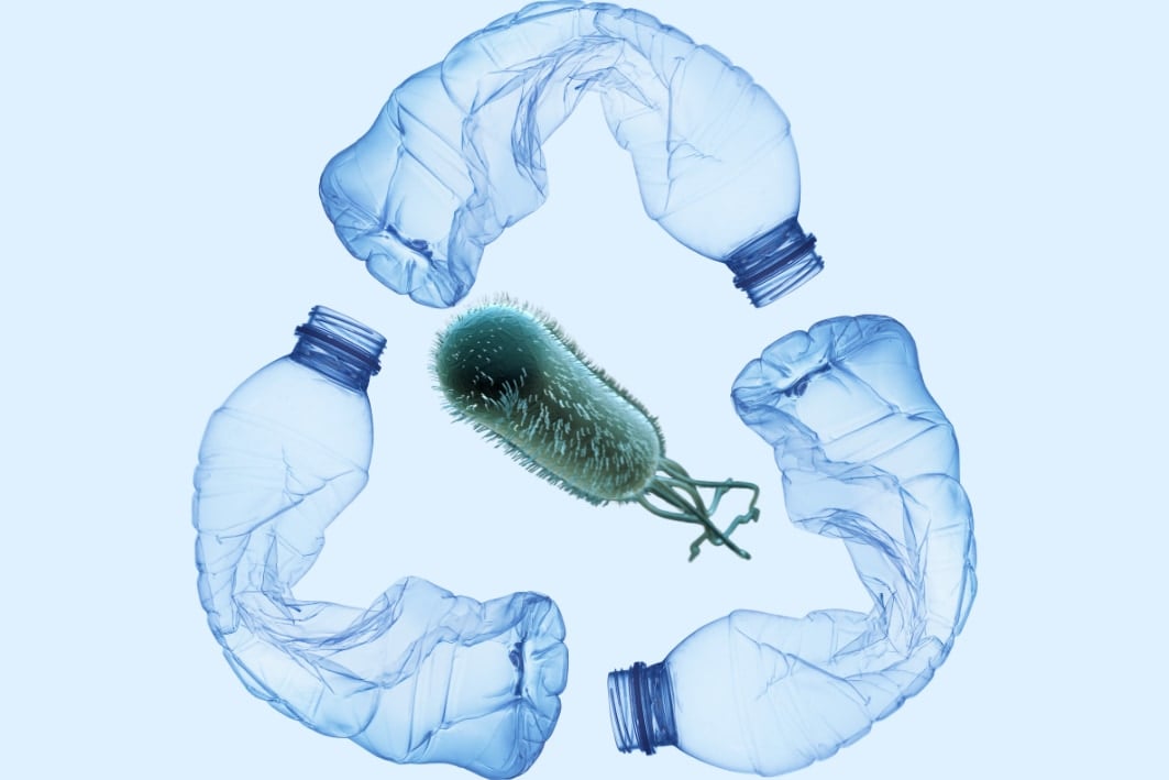 ペットボトルを鎮痛剤に変える遺伝子組み換え細菌を作成することに成功
