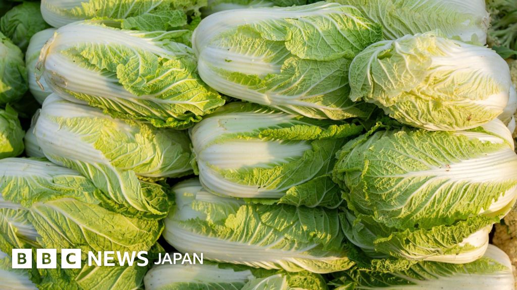 中国で白菜類の鮮度保持にホルムアルデヒド使用か 当局が調査