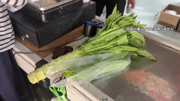 また中国で違法な食品処理 今度は「茎レタス」に青と黄を混ぜ緑に着色 生鮮野菜は使用認められず 白菜を「ホルムアルデヒド」に浸す過去も