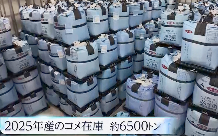 新米が2600円台…【コメ余り】価格急落に振り回される農家の悲鳴（テレ東プラス）