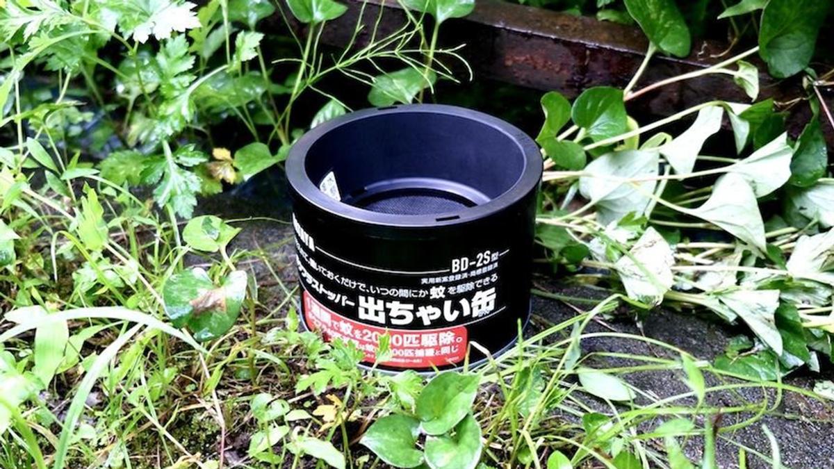 「蚊のいない快適な庭」を作るために選んだのは「置いておくだけで効果抜群な缶」でした