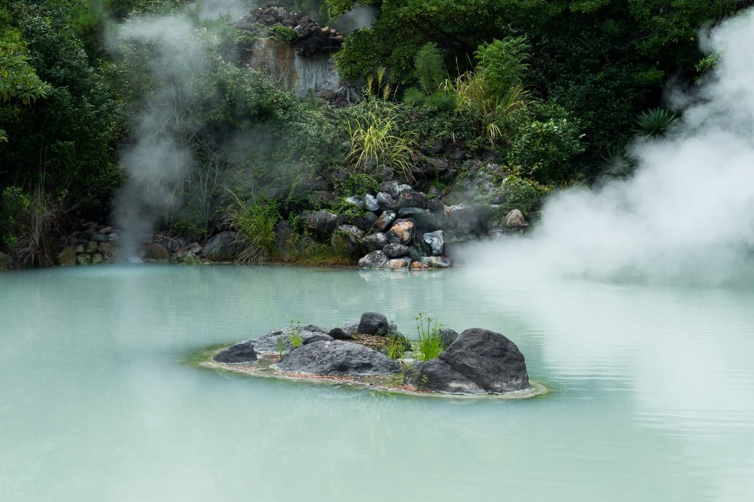 日本の「湯の華」は多様な植物を化石にしていた