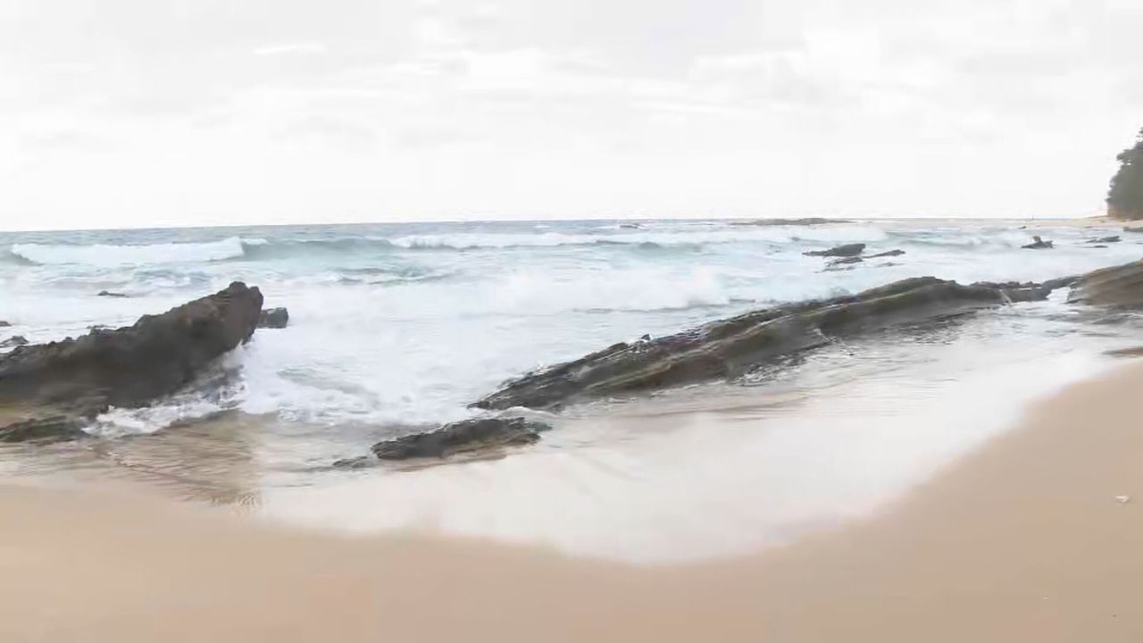 砂浜に遺体 不明の22歳男性と判明