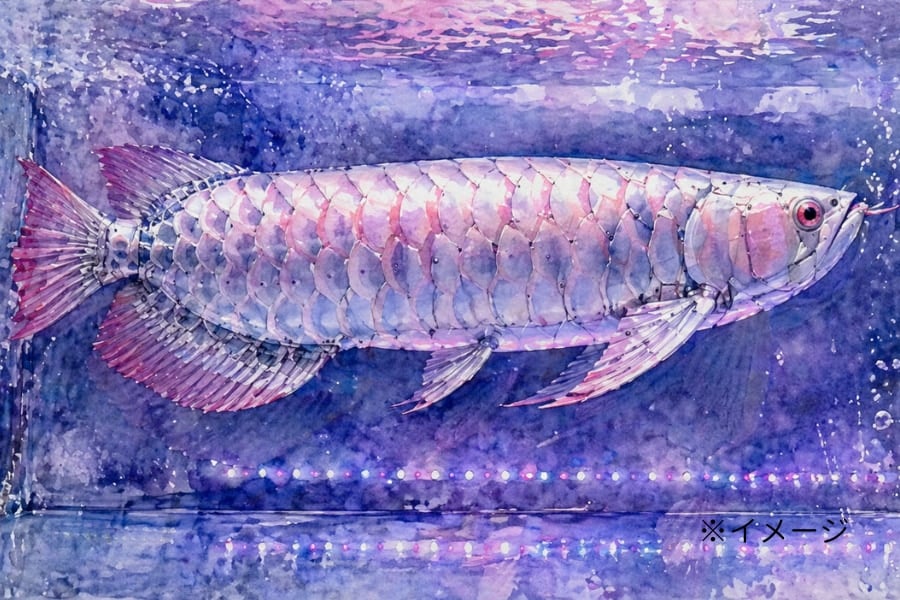 超リアルな「ロボット・アロワナ」が、お世話不要の高級魚水槽を実現【動画あり】