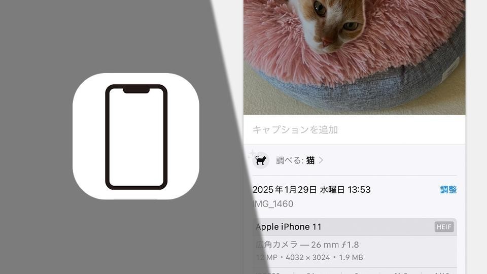iPhoneのHEIF（HEIC）写真をJPEGに変える方法。純正アプリだけで変換可能（BUSINESS INSIDER JAPAN）