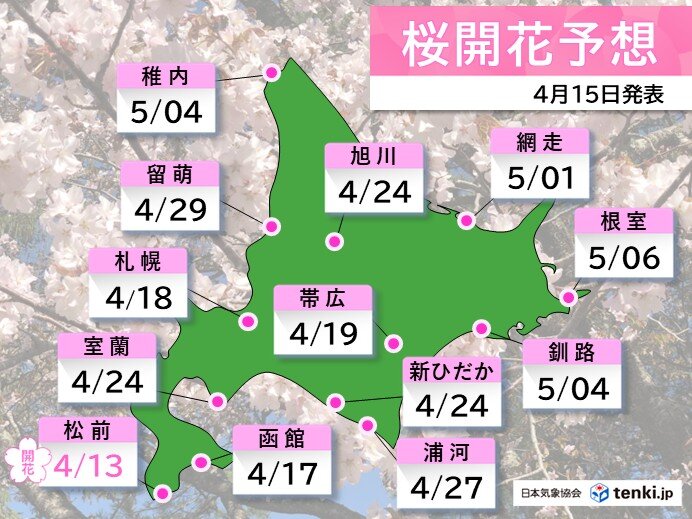北海道 いよいよ桜のシーズン突入 週末以降は道央や道南方面を中心に見頃を迎えそう