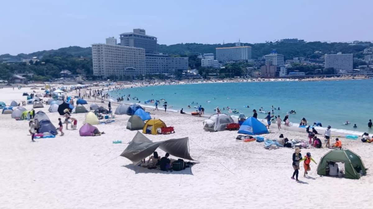 パンダ返還も…観光客数は↗「温泉町の原点を取り戻す」白浜町長・大江康弘氏の意気込み㊤