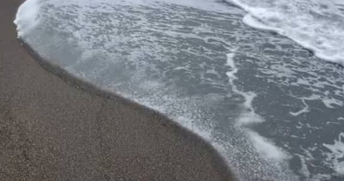 秋田県の海岸でゴミ拾いをしていたら……「人生で初めて出会った」 打ちあがっていた“まさかのもの”に「太平洋側じゃないんだ！ びっくり」