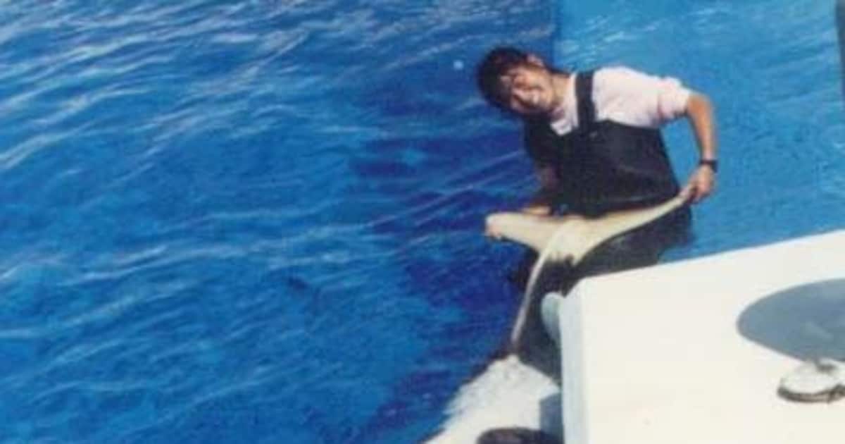 シャチに教わった「覚悟」 手を伸ばすとスイッと下がり…トレーナーに同情されたものです