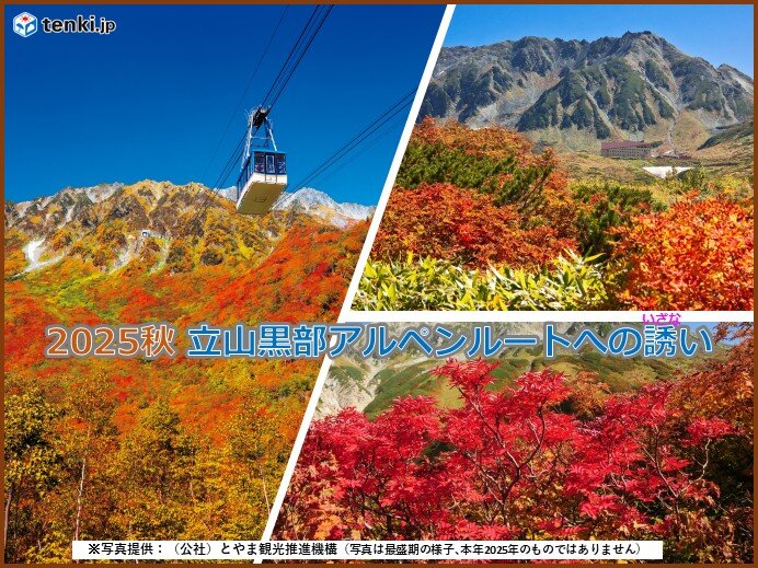 立山黒部アルペンルート 例年より格段に美しい雲上の世界の紅葉 最新の1か月予報は