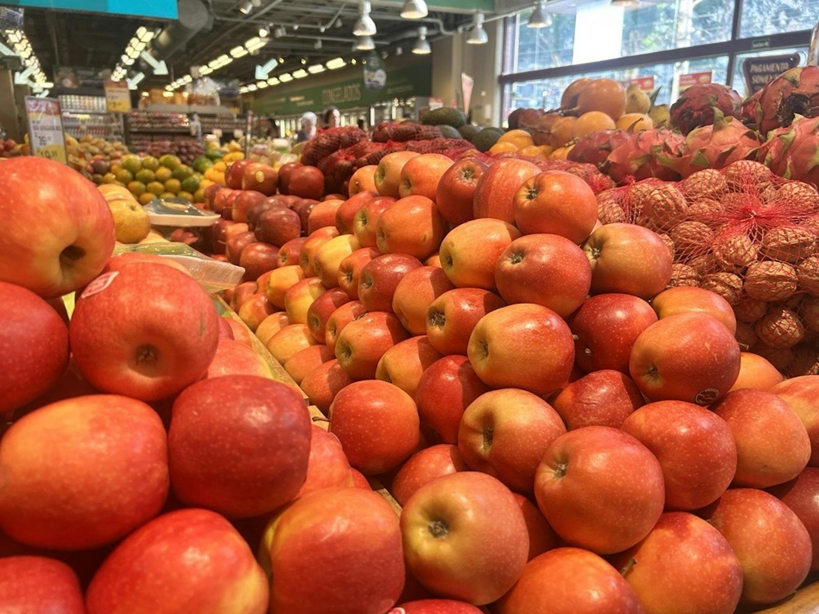 墜ちたリンゴ 「地球の肺」焼く利権の連鎖