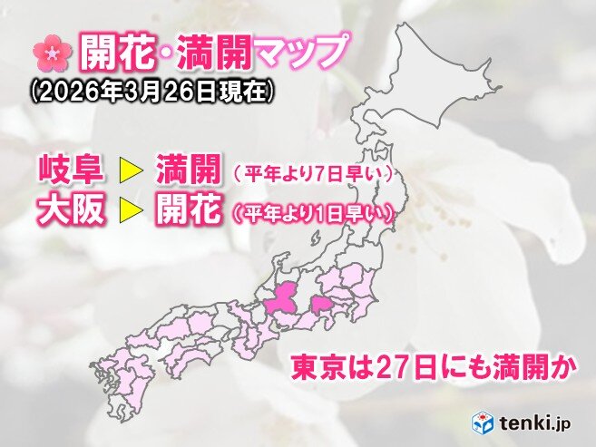 今日26日は大阪で桜が開花し全国27地点に 東京は明日27日にも満開か