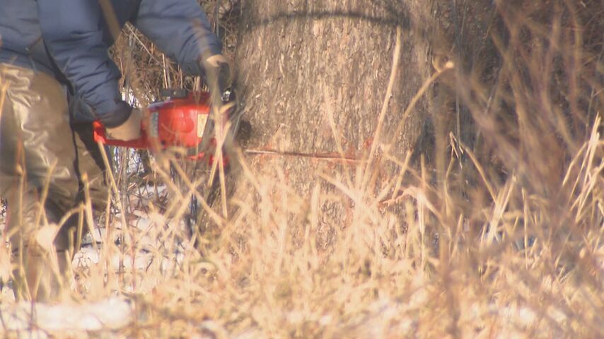 「これ以上のことできない」釧路メガソーラー計画、住民からの合意ないまま希少生物の止まり木など伐採開始（HTB北海道ニュース）