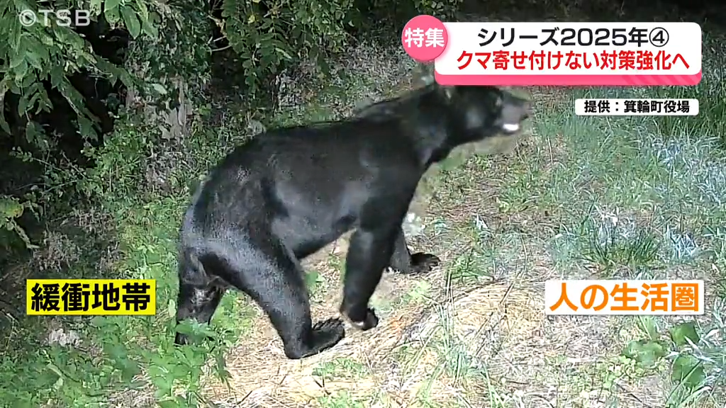 【特集・シリーズ2025④】雪が降っても出没 相次ぐクマ被害 クマを寄せ付けない対策とは 専門家に聞く今後のクマの動向は…