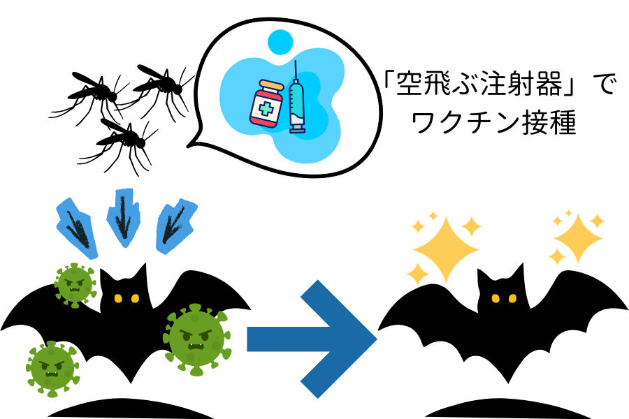 蚊を「空飛ぶ注射器」にして、コウモリにワクチンを投与するアイデア