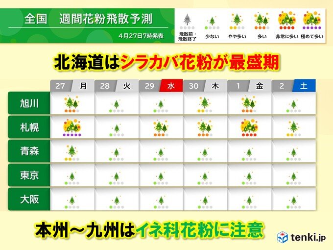 ゴールデンウィークも花粉対策 北海道はシラカバ花粉最盛期 本州はイネ科花粉に注意