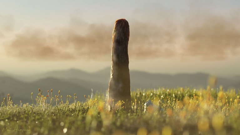 4億年前の最大の陸上生物、科学者たちにも説明不能の存在 新研究