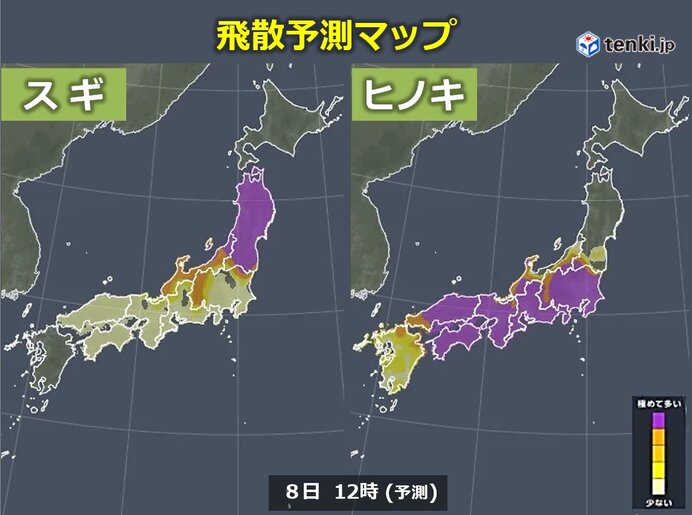 今日8日(水)は広く晴れて花粉が大量飛散 ピーク過ぎてもしばらくは対策を
