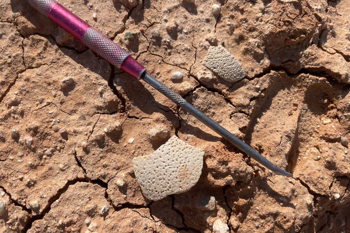 恐竜の卵の殻を直接測定、驚くほど正確な恐竜の新たな年代測定法