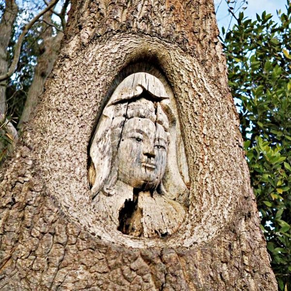 木の中に観音様！？ Googleマップで見つけた「令和観音」が衝撃的 生きている幹に彫られた姿に「何だこれは…」
