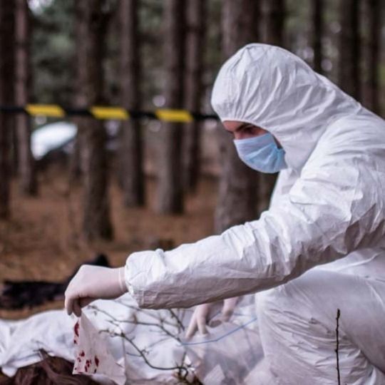 「6歳少女の頭蓋骨」が発見されたのに…家族4人が消えた《フランス人家族失踪事件》それでも「未解決」に終わった理由（海外の事件・1999年の事件）（文春オンライン）