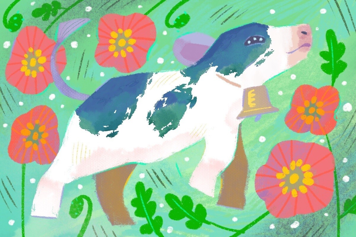 【2026年3月30日の運勢】12星座占いランキング(総合運・恋愛運・金運・仕事運・健康運)