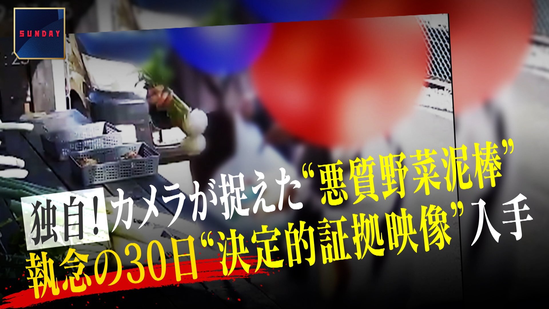 繰り返される悪質野菜泥棒に「おっちゃんは戦う」…評判の直売所営む男性が防犯カメラ5台設置“執念の30日” 岐阜