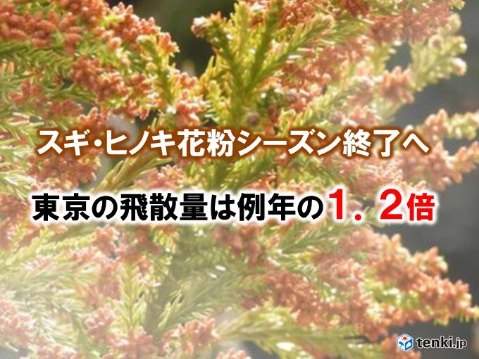 スギ、ヒノキ花粉シーズン終了へ 東京の飛散量は例年の1.2倍(速報値)