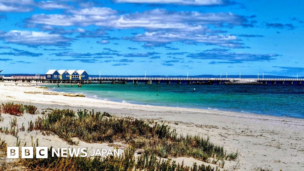 「超人的」な13歳少年、荒波の中を何時間も泳ぐ 豪の沖合に流された家族救おうと