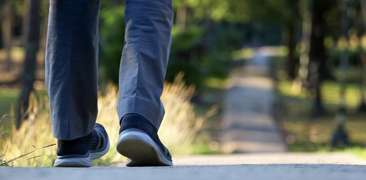 1万歩はいらないけど15分は必要。ウォーキングの新たな常識