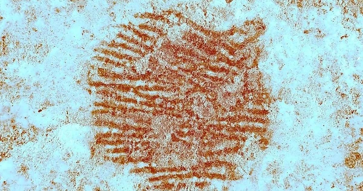 ネアンデルタール人が4万年前に残した「赤い点」の謎