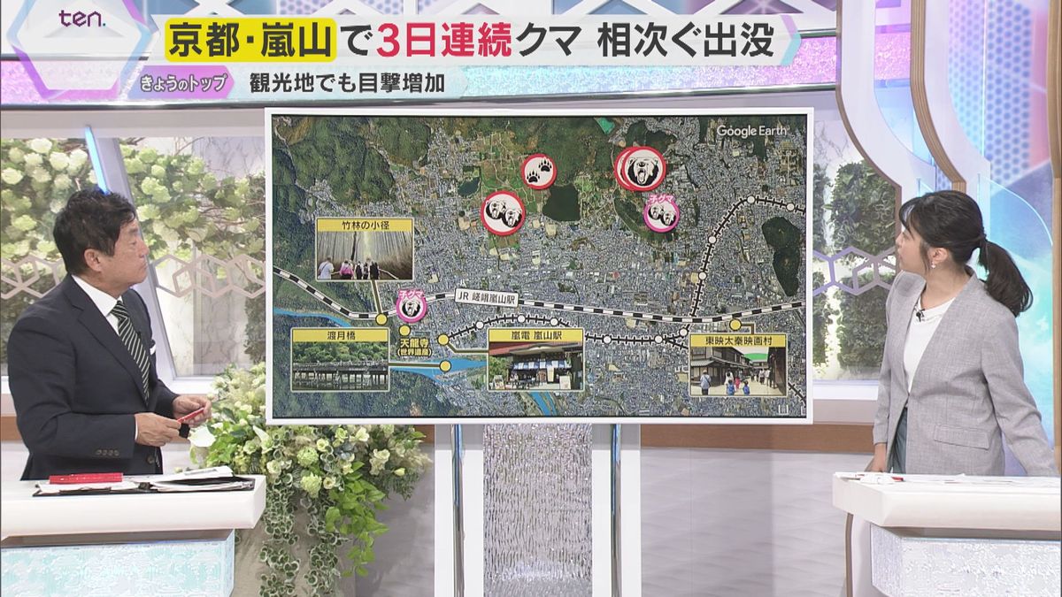 【警戒】京都・嵐山でクマ目撃相次ぐ 紅葉観光に注意 『捕獲しても放せない』クマ対策の現実