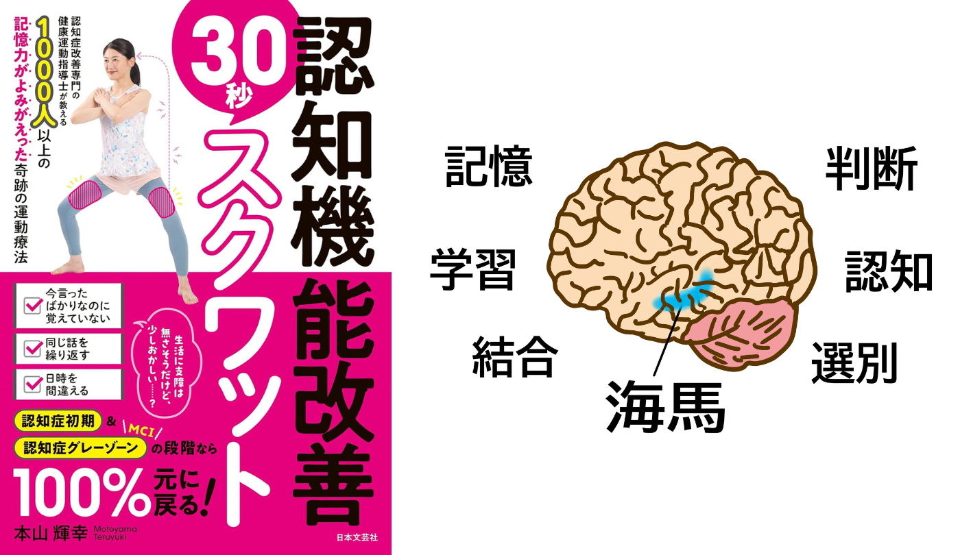 海馬が萎縮して「１年後には寝たきり」宣告そこからまさかの海馬が回復！【認知機能改善30秒スクワット】