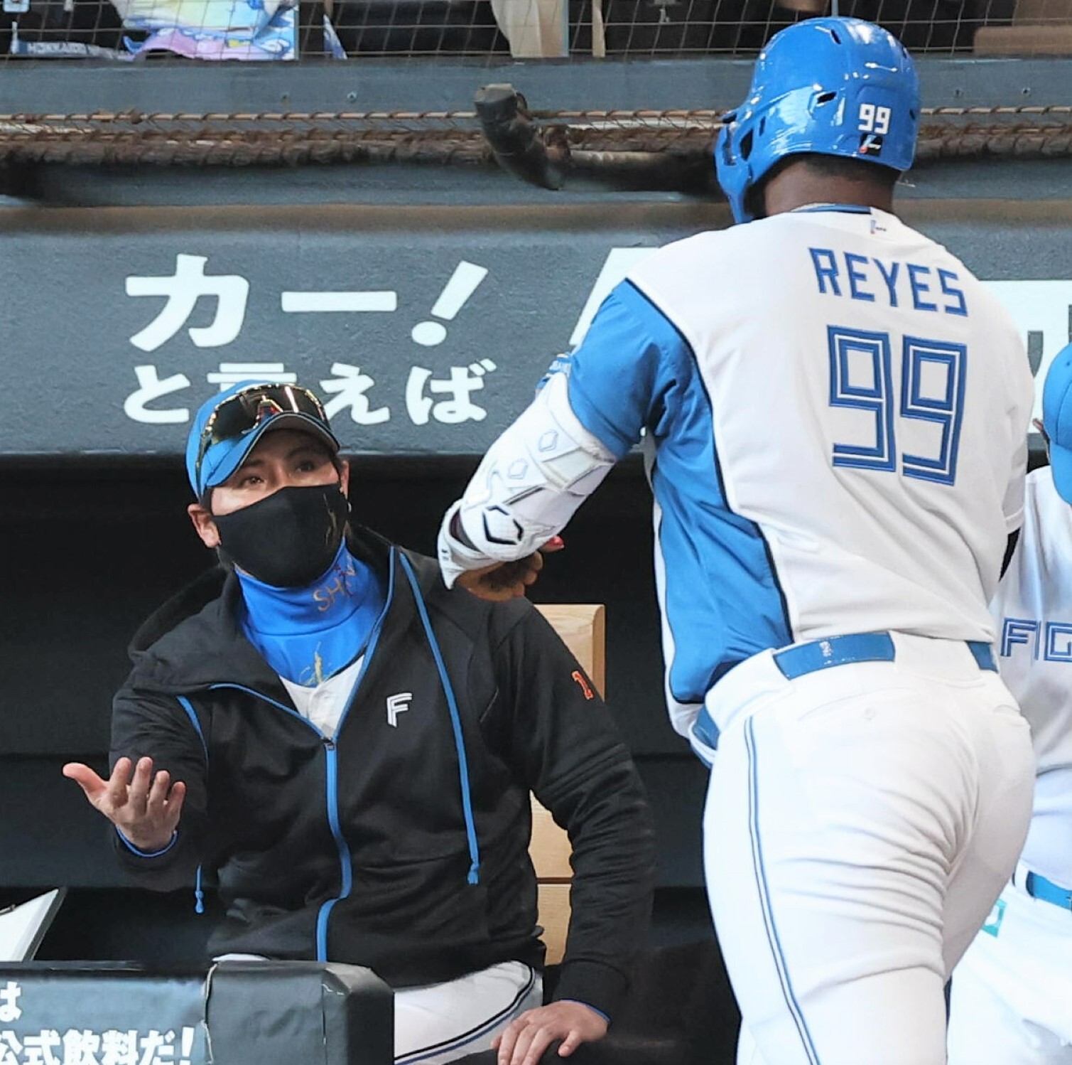 【日本ハム】ソフトバンクに2連勝 マジック点灯阻止で1.5ゲーム差 レイエス自己最多26、27号ソロ 清宮幸2打席連続適時打 石井ソロ