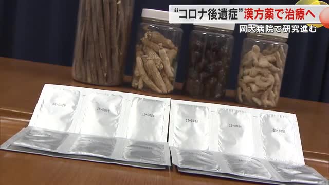 漢方薬を使用した「コロナ後遺症」治療が岡山大学で研究進む 治験に参加した患者の女性の感想は…【岡山】