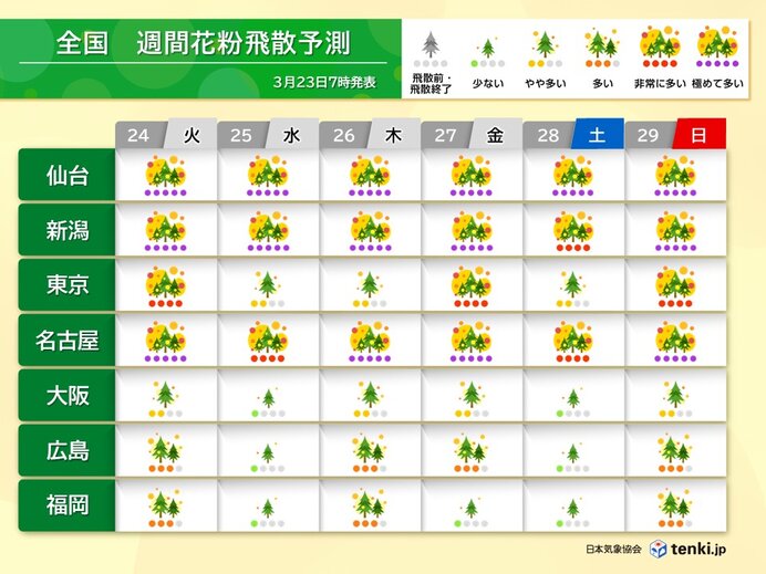 関東や北陸から九州はヒノキ花粉のピークへ 東北はスギ花粉のピークが続く